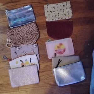 ipsy Makeup Bags Collection - Silver, Pink, and More